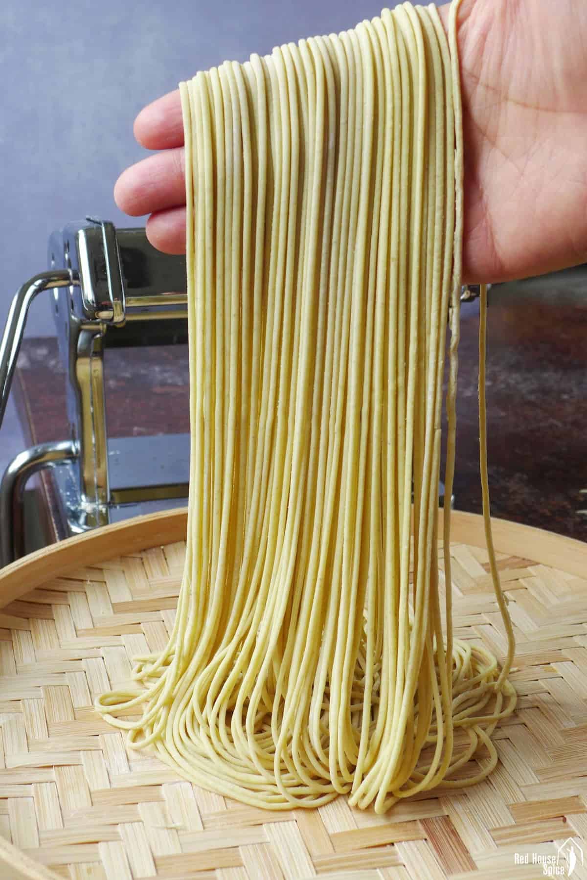 a hand holding fresh alkaline noodles