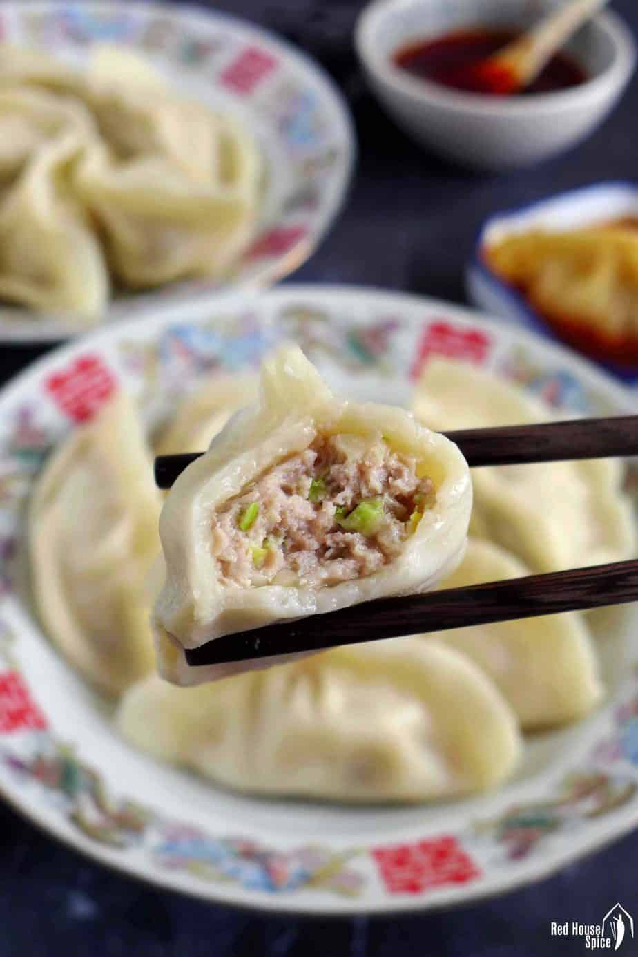 An half eaten pork and cabbage dumpling