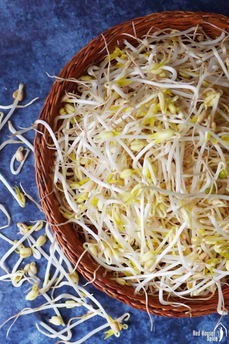 Homegrown mung bean sprouts