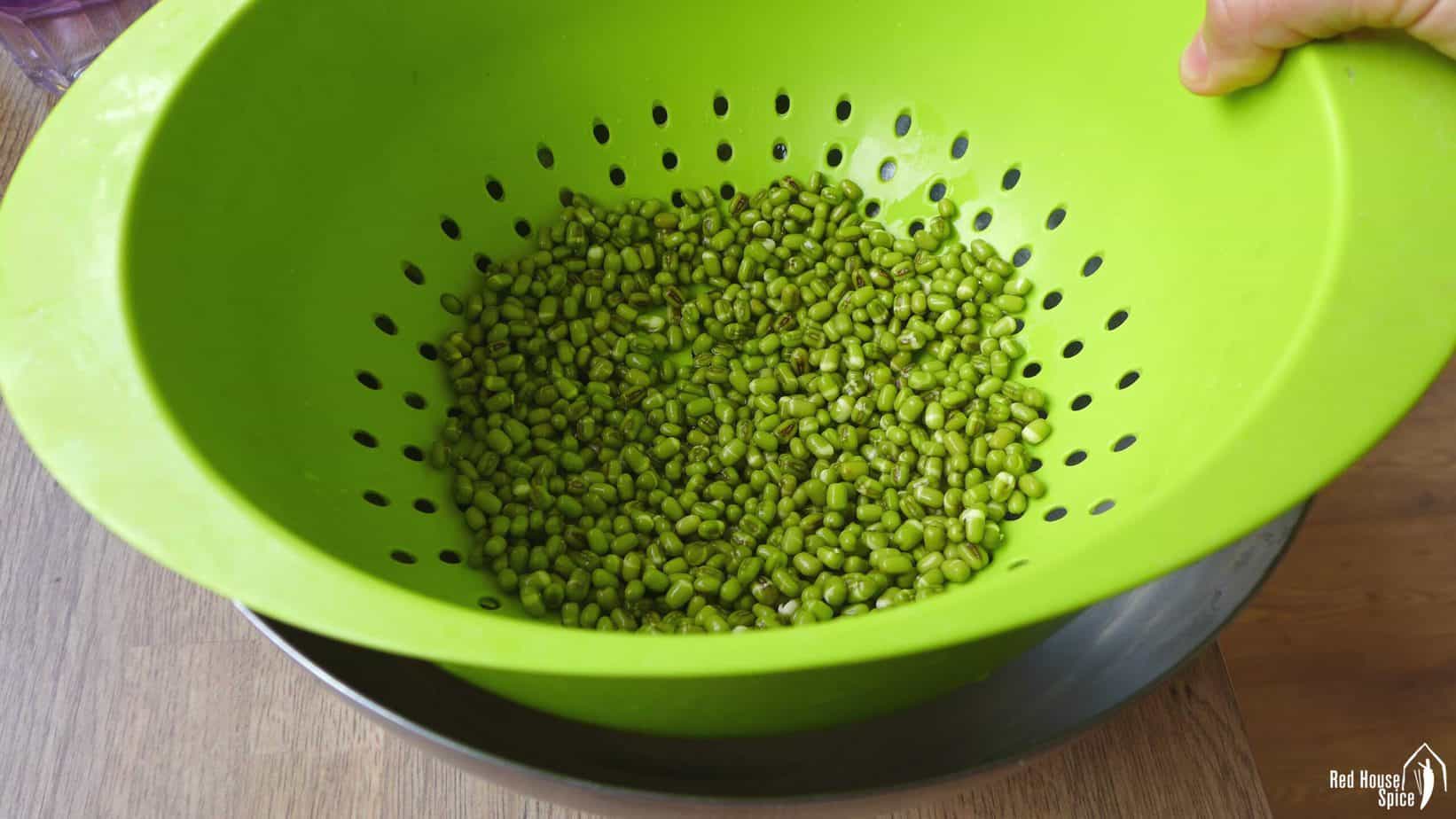 Mung beans in a colander