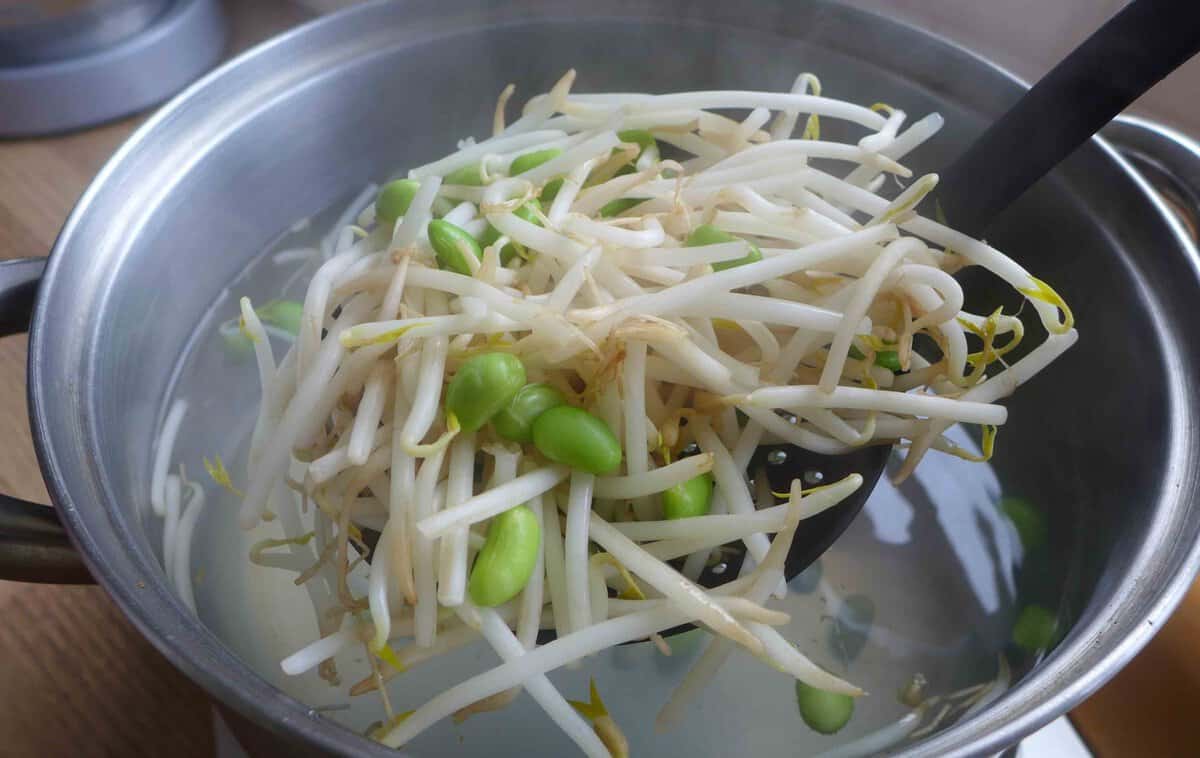 blanching bean sprouts and edamame.