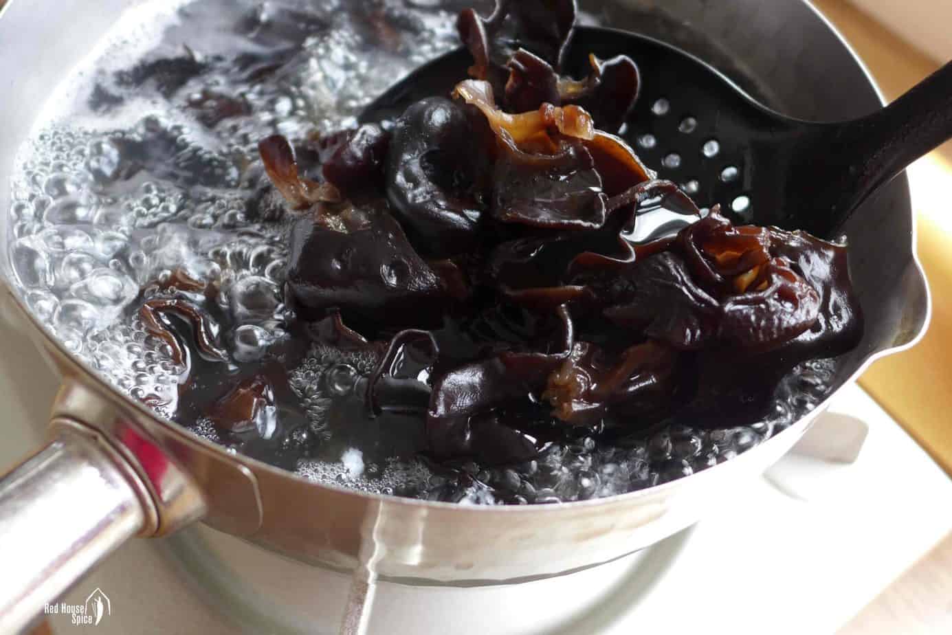 boiling wood ear mushrooms