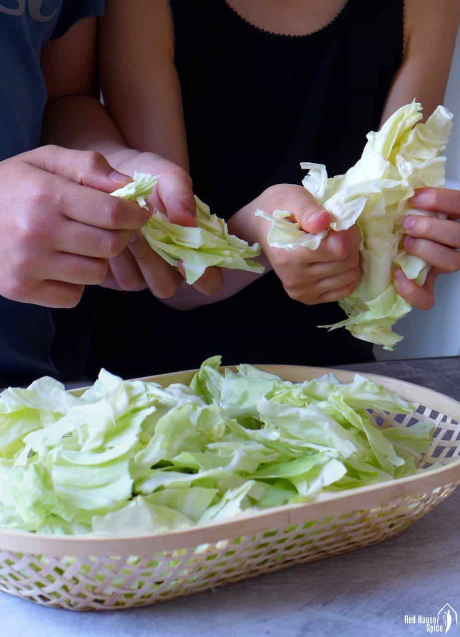Two pairs of hands tearing cabbage leaves