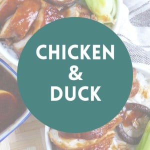 Chicken & Duck