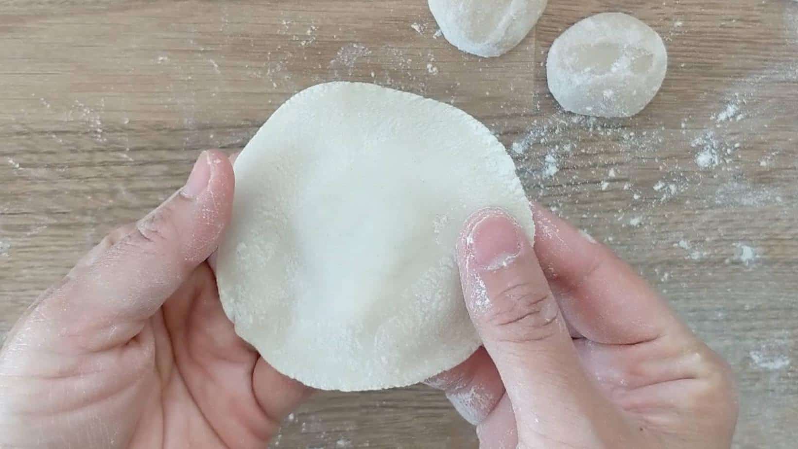 A piece of dumpling wrapper