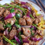 lamb stir-fried with cumin, dried chili, onion and cilantro.