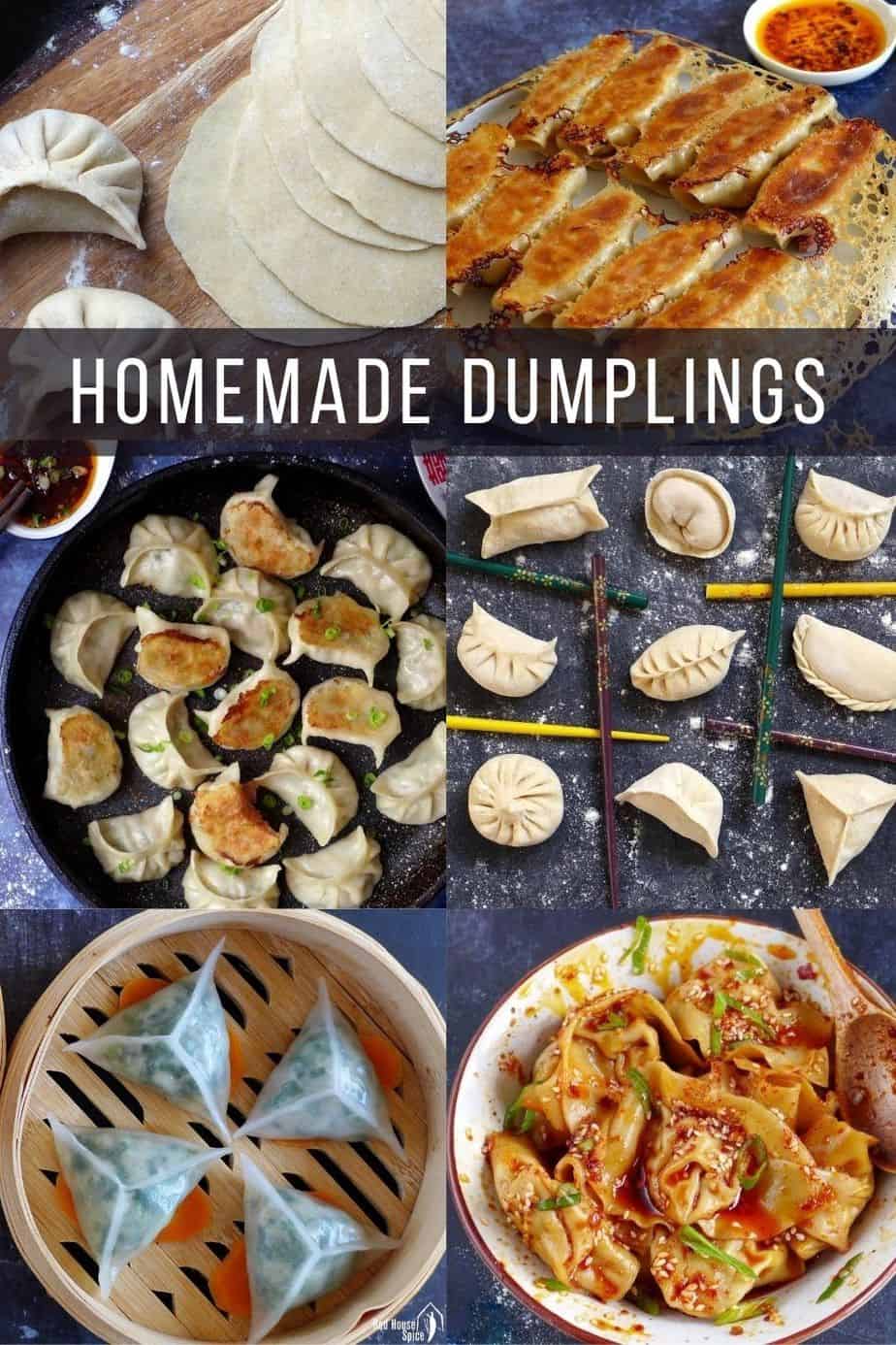a collection of Chinese homemade dumplings