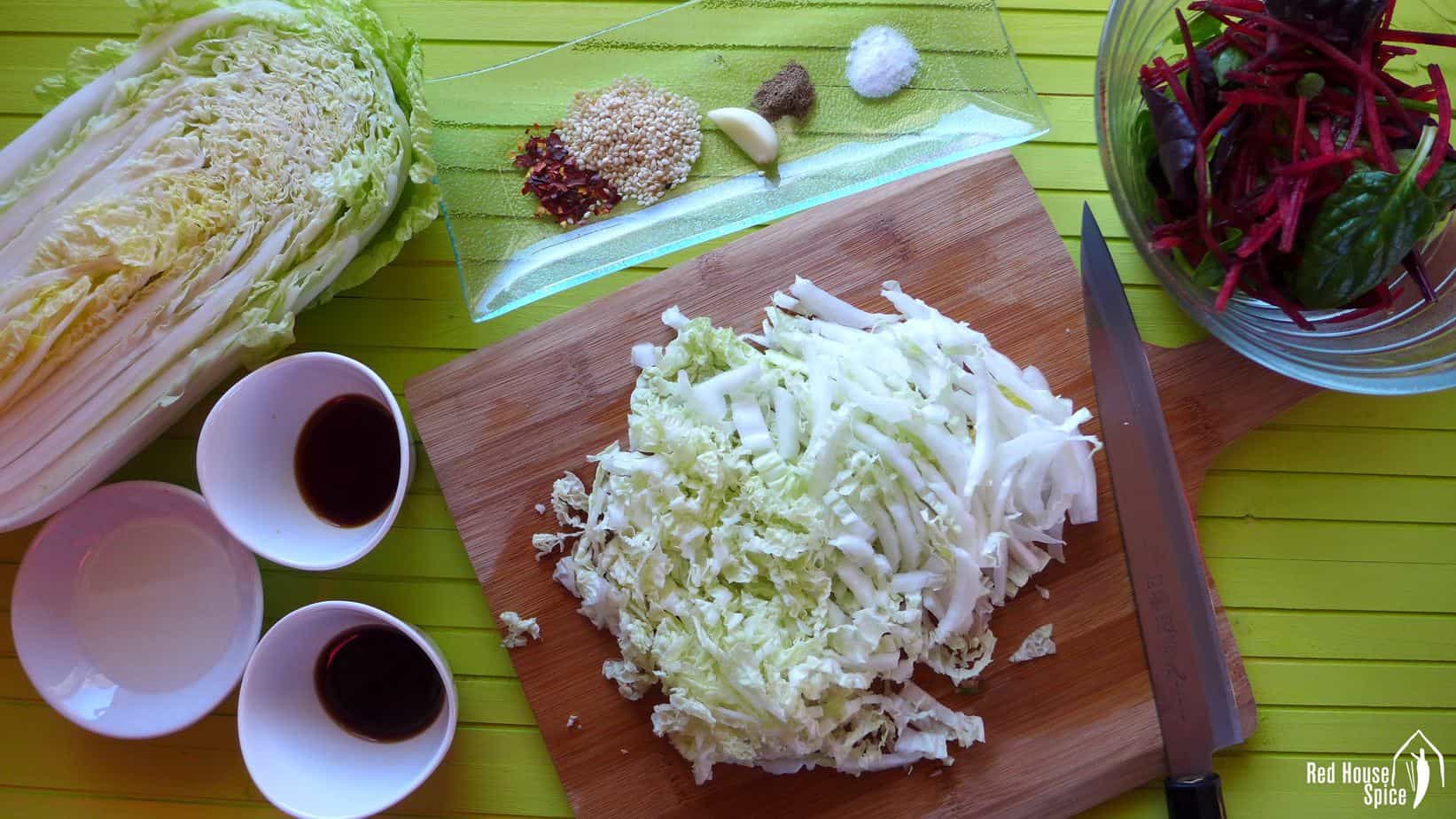 shredded Napa cabbage with spices