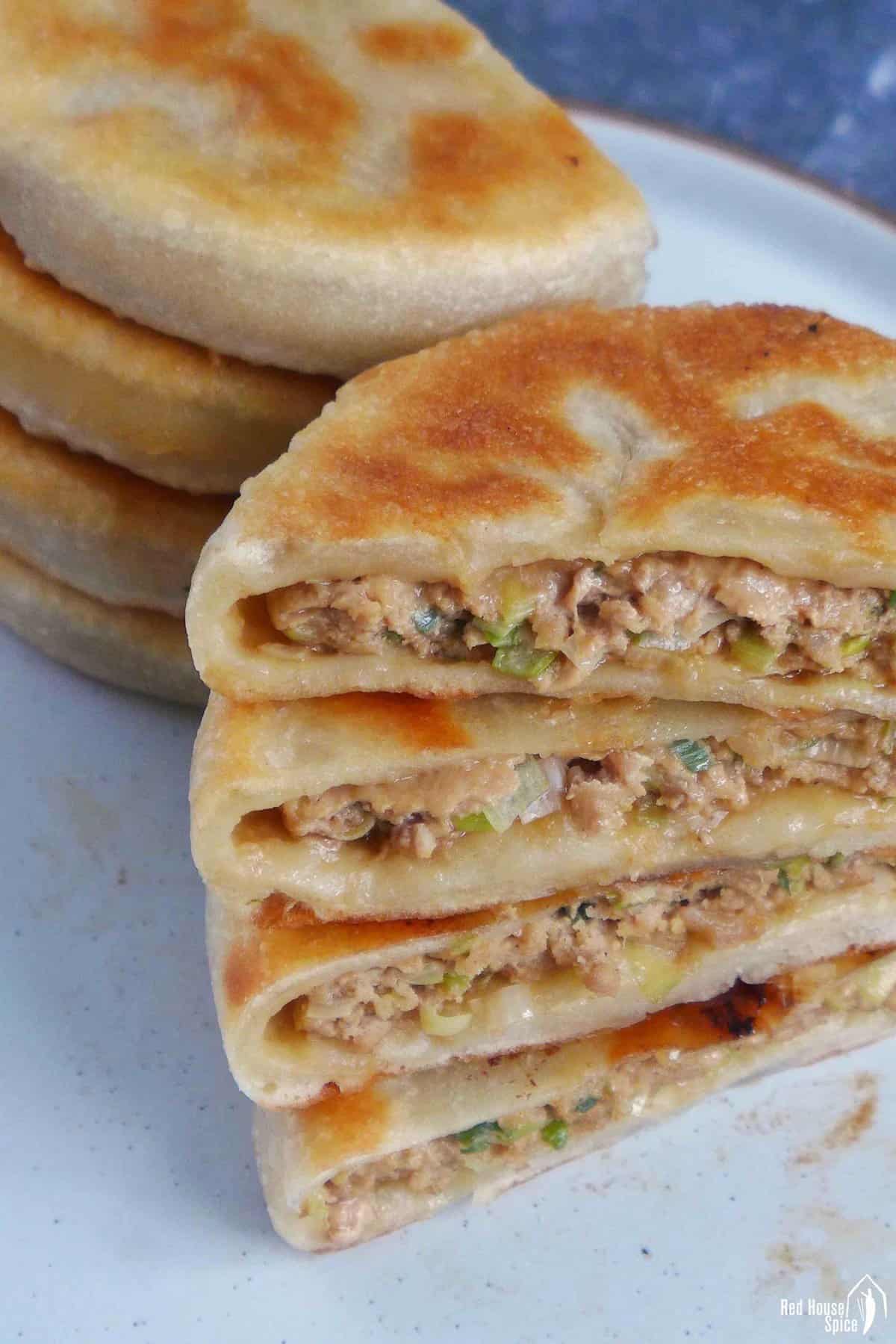 Chinese meat pie with pork and scallion filling.