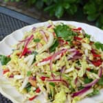 napa cabbage salad with chili, onion, cilantro and peanuts.