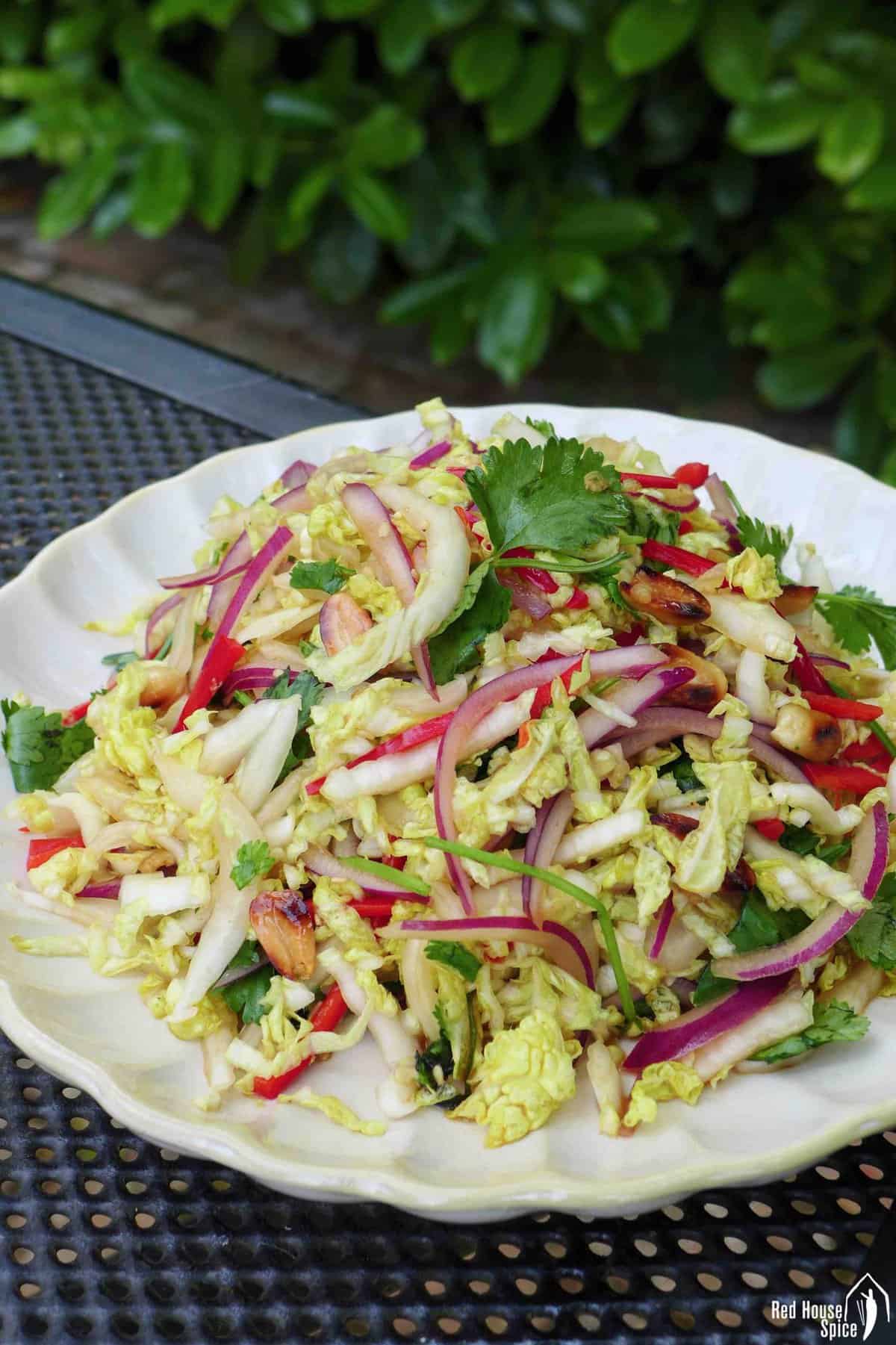 napa cabbage salad with chili, onion, cilantro and peanuts.
