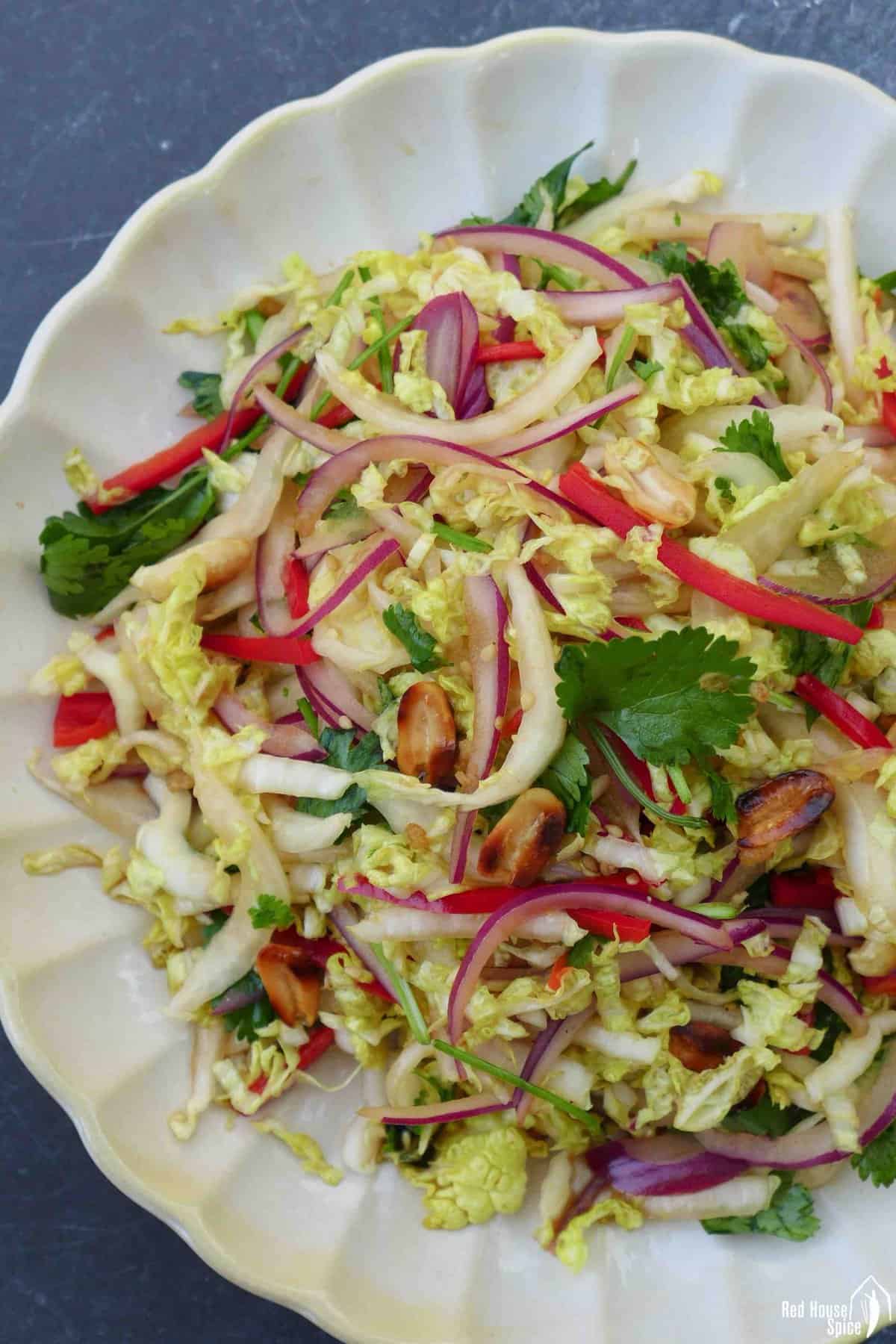 napa cabbage salad with chili, onion, cilantro and peanuts.