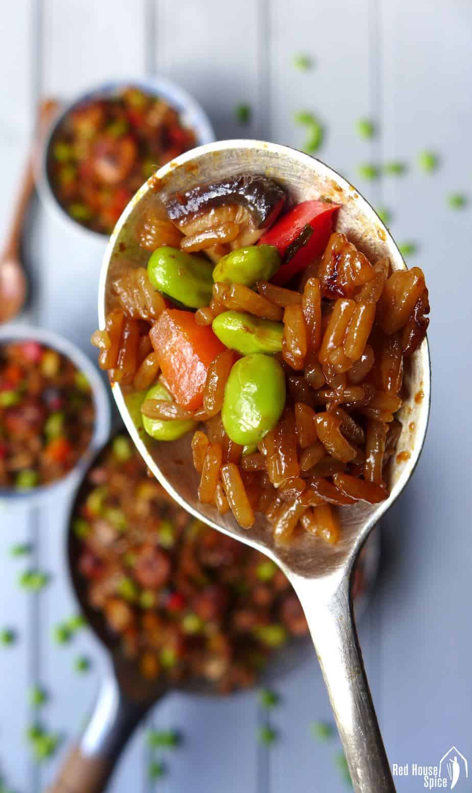 A spoonful of Chinese soy sauce rice
