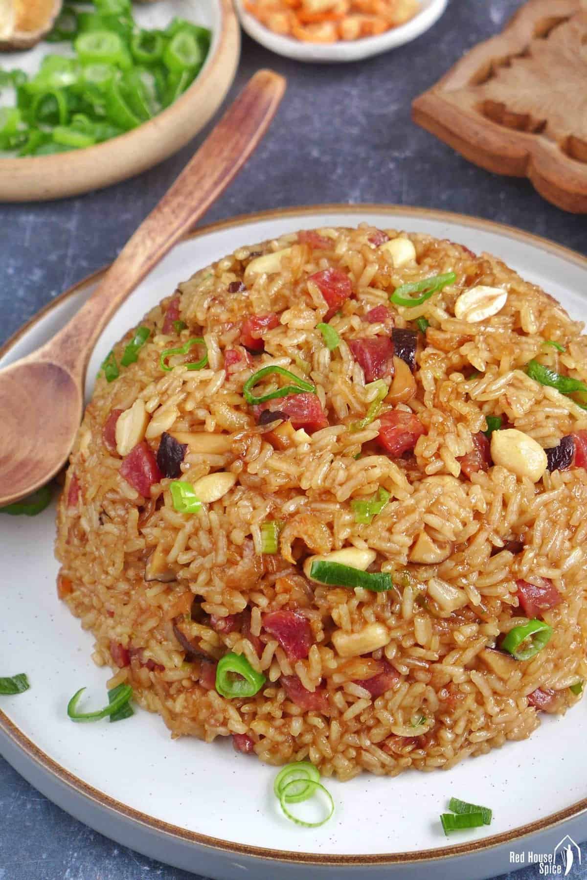 Chinese sticky rice with sausage, mushroom and peanuts.