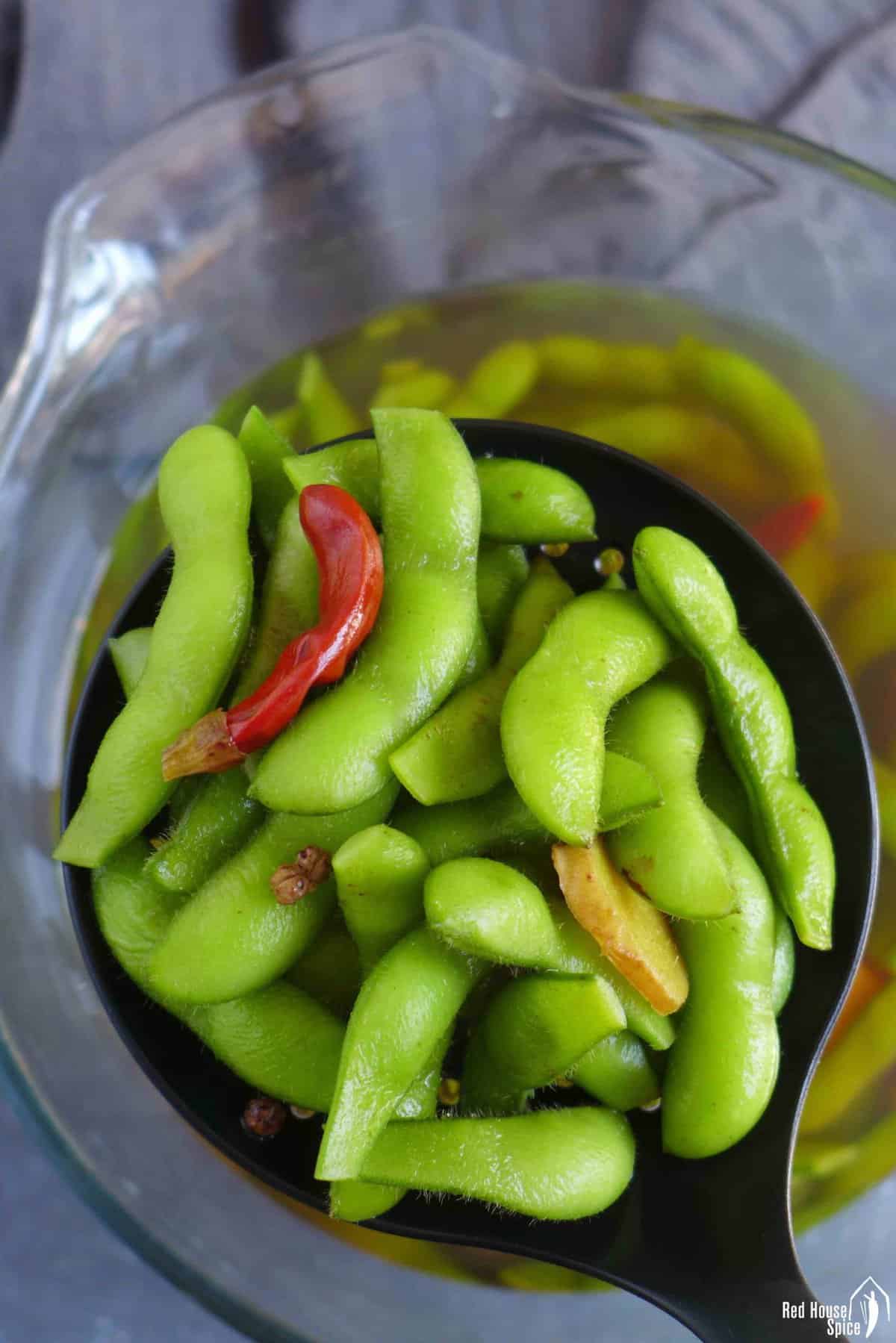 Chinese five spice edamame in a slotted spoon.