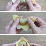 collage of three photos showing how to fold a wonton.