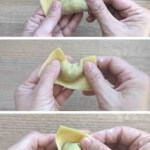 collage of three photos showing how to fold a wonton.