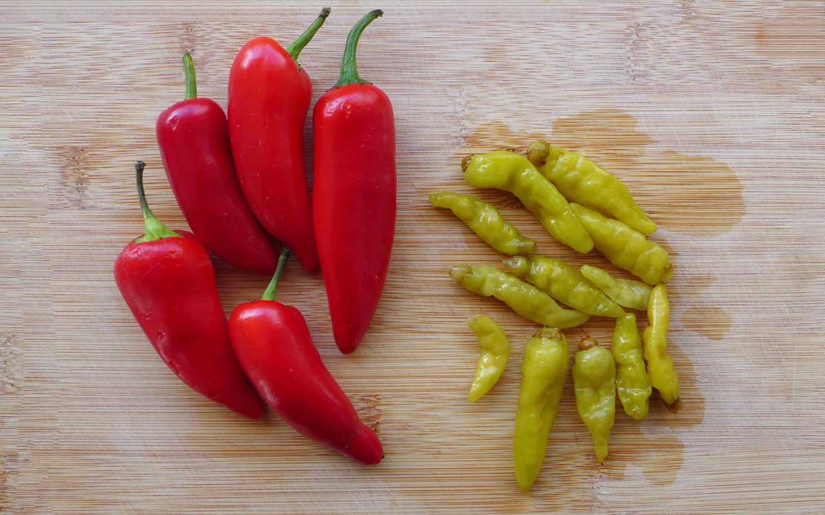 fresh chillies and pickled chillies