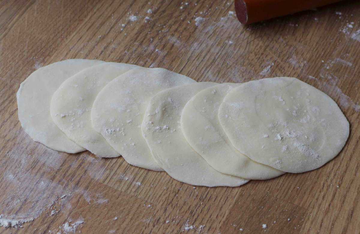 fresh dumpling wrappers.