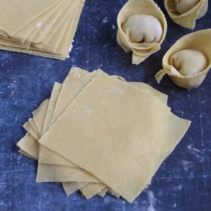 wonton wrappers and two wontons.