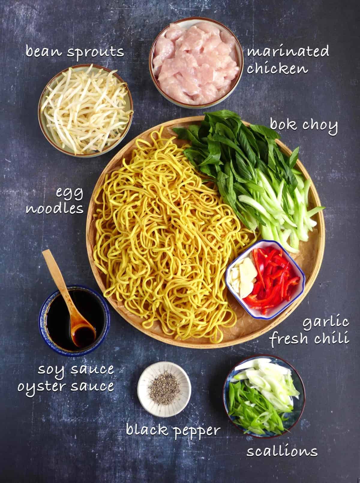 raw ingredients for making chicken chow mein.