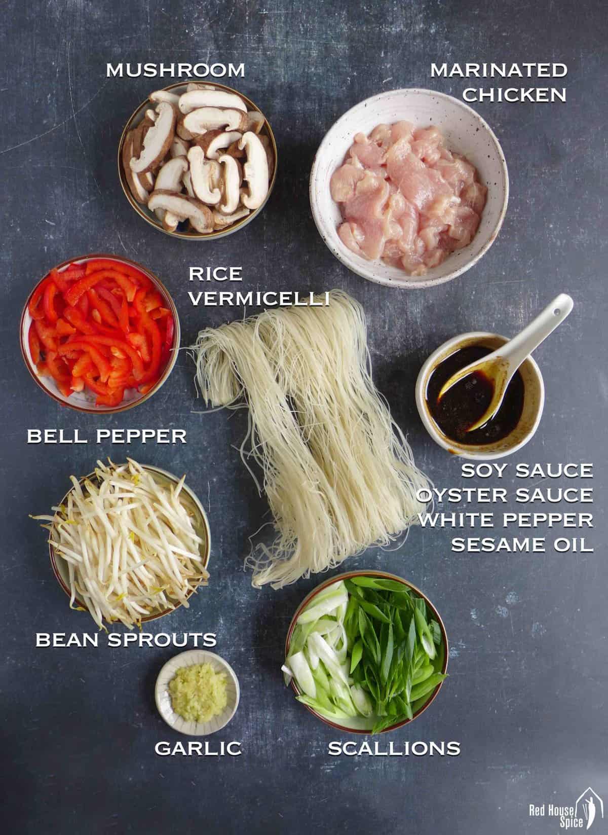ingredient for chow mei fun.