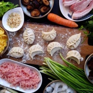 ingredients for making dumpling fillings