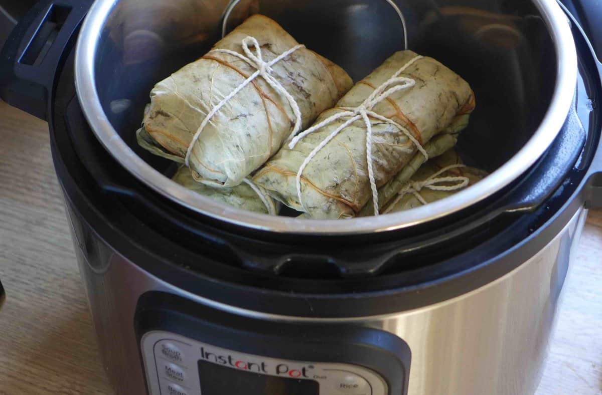 Lo Mai Gai in an Instant Pot.