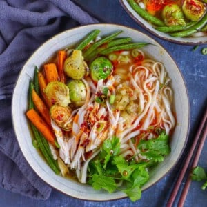 A bowl of noodle soup with turkey and vegetables