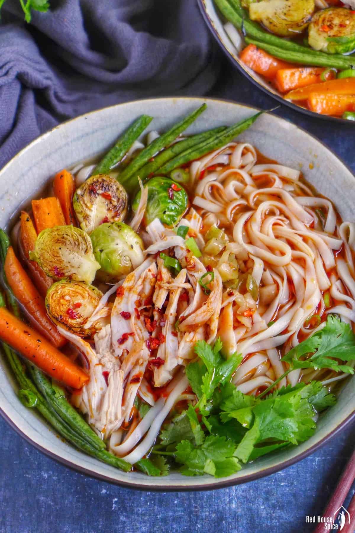 A bowl of noodle soup with turkey and vegetable toppings