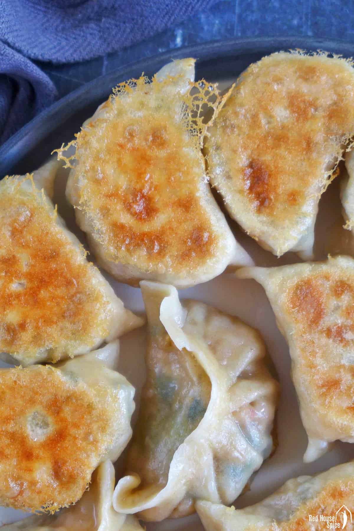 pan-fried kimchi dumplings showing their crispy crust.