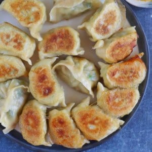 A plate of pan-fried pork and chive dumplings.