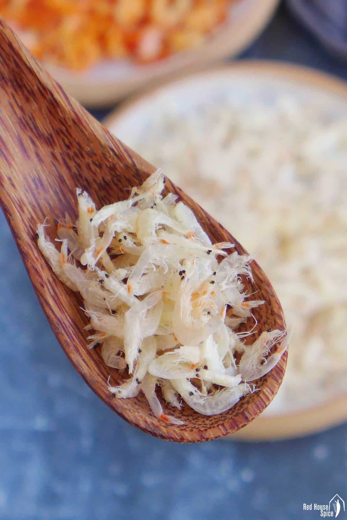 papery dried shrimp a spoon.