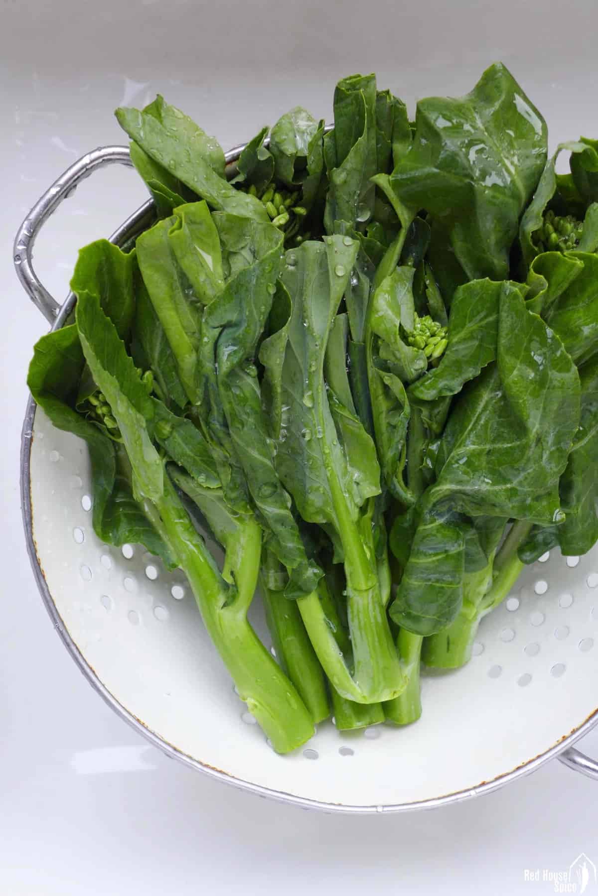 Raw Chinese broccoli in a colander.