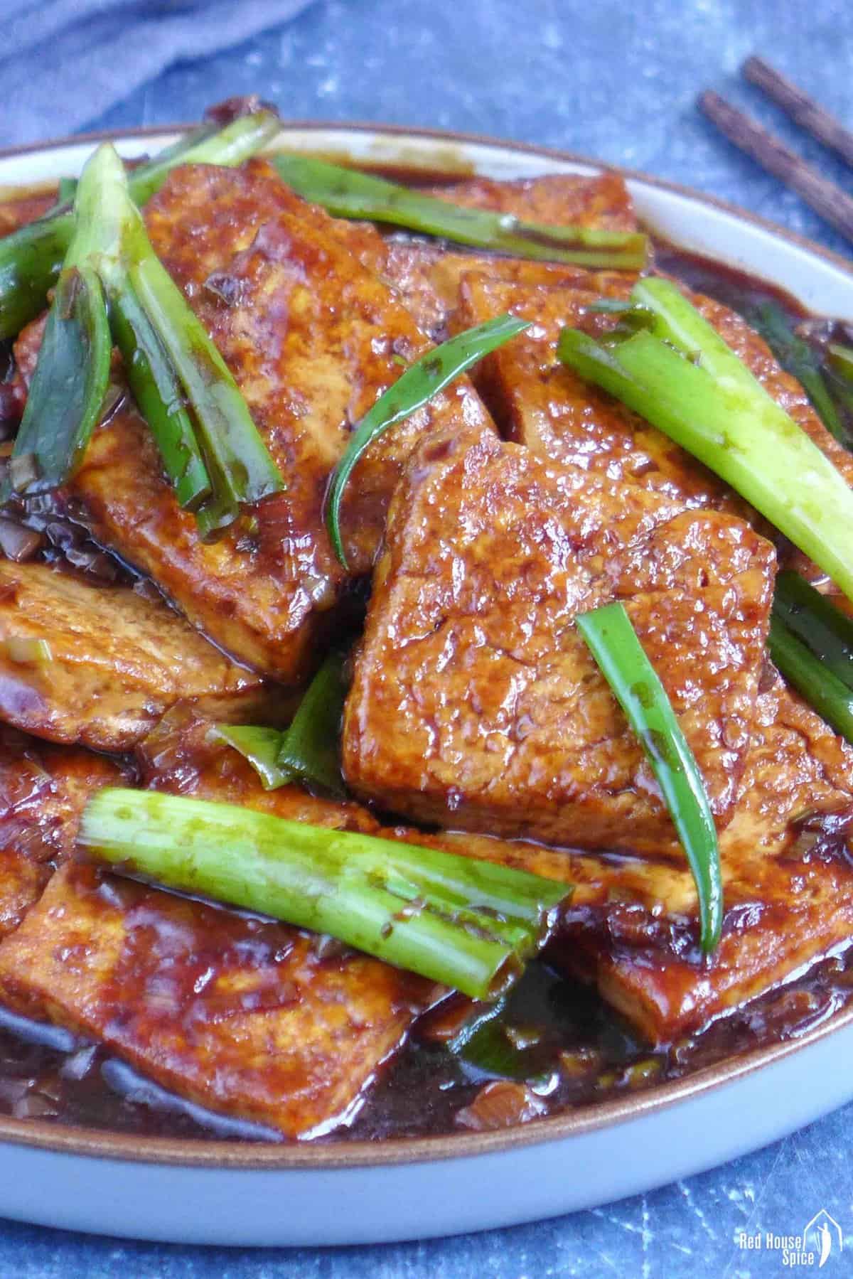 braised tofu slices with scallions.