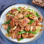 Sha Cha chicken on a plate.