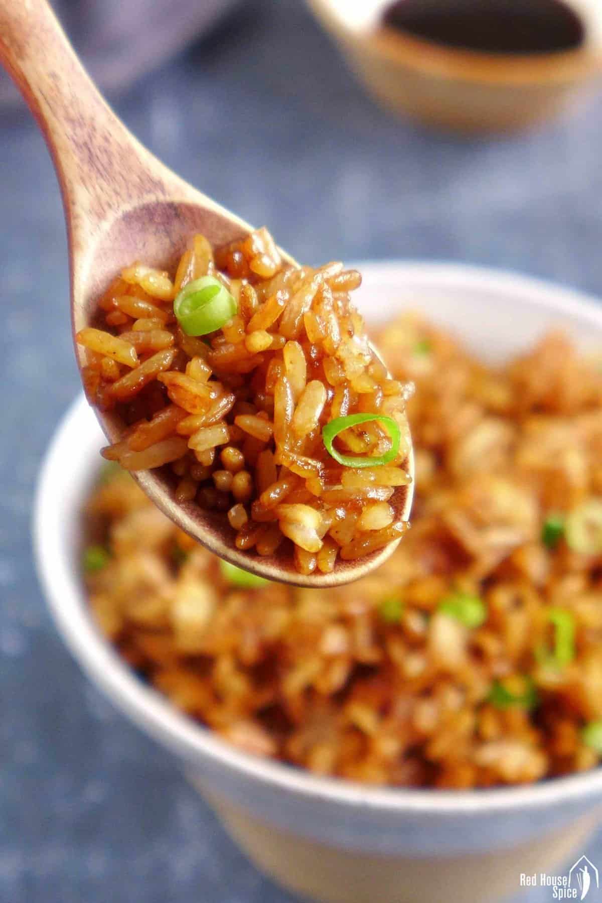 Chinese soy sauce fried rice in a spoon.