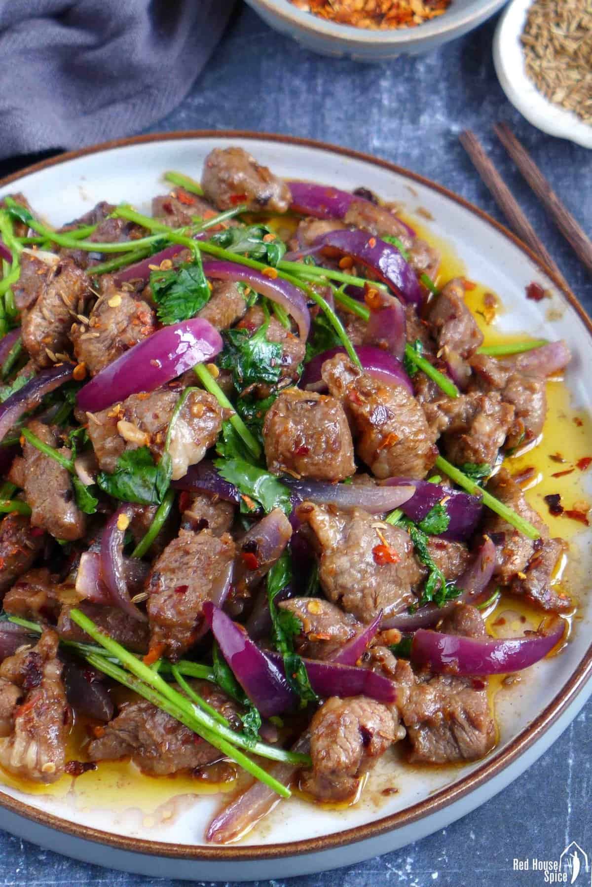 lamb stir-fried with cumin, dried chili, onion and cilantro.