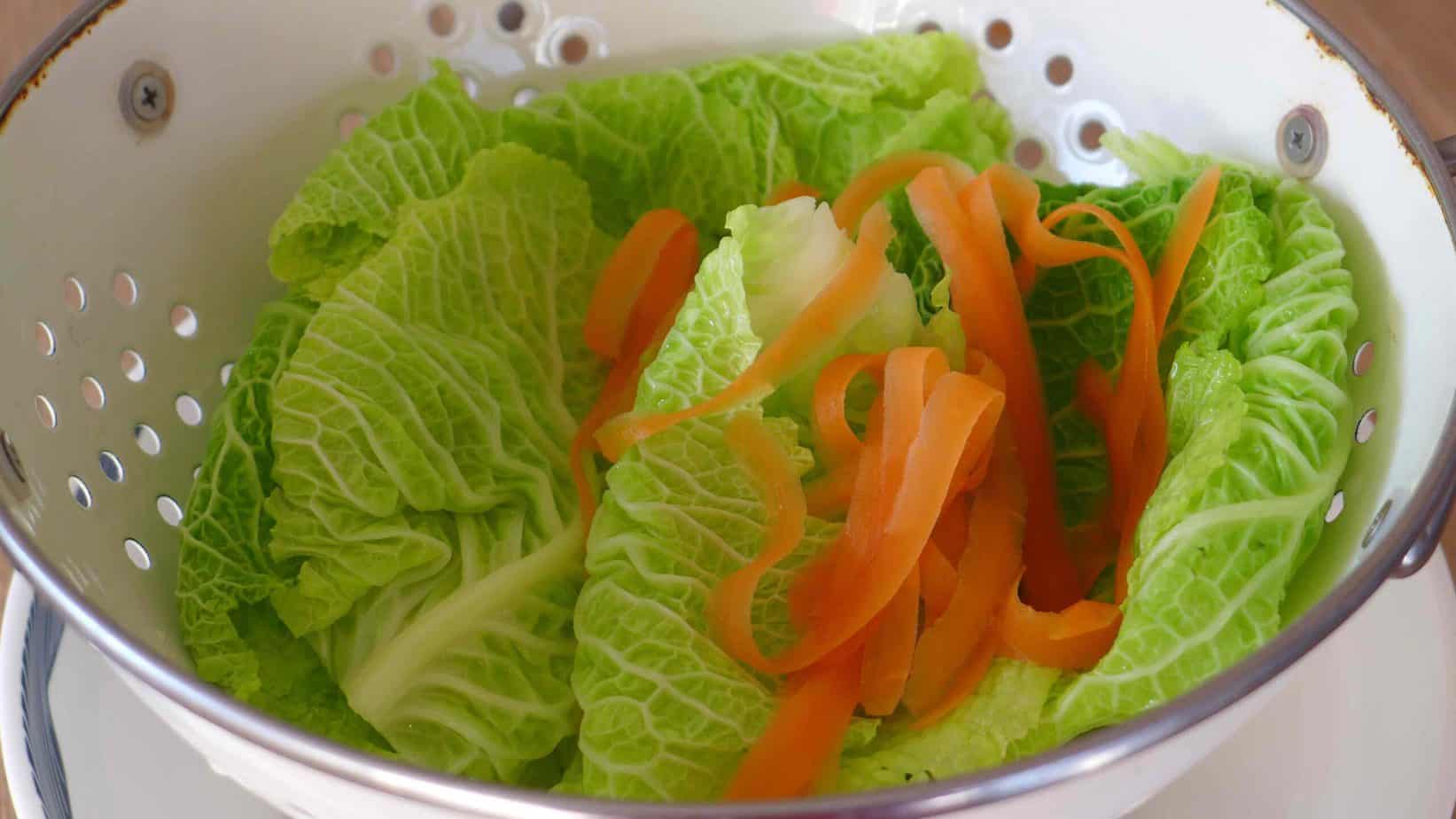 cabbage leaves and carrots strips