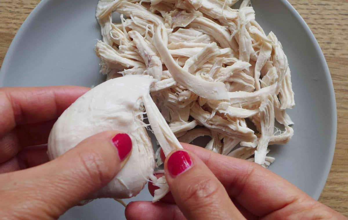 tearing cooked chicken with hands.