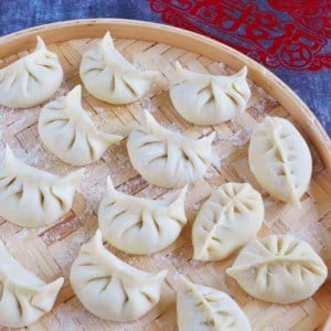uncooked dumplings on a tray