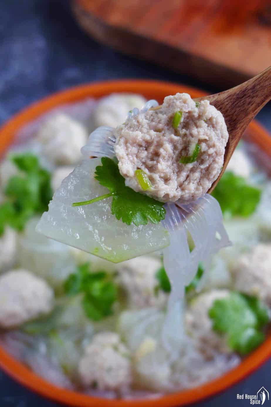 A half eaten meatball with a piece of winter melon.
