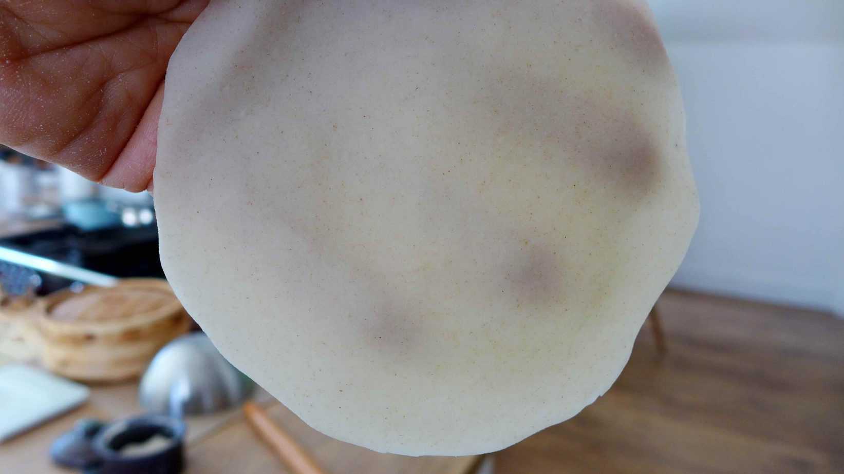 A semi-transparent dumpling wrapper